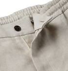 Rubinacci - Linen Drawstring Trousers - Gray