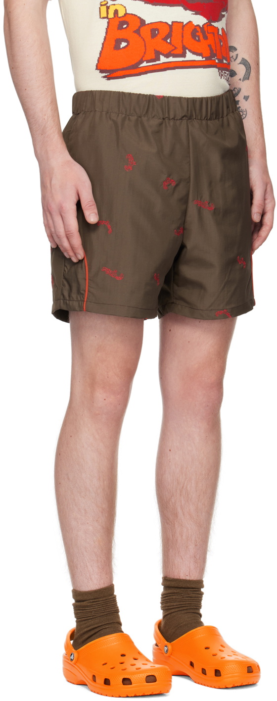 Robyn Lynch Brown Embroidered Shorts