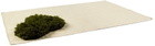 Mush Studios Beige & Green Small Echo Rug
