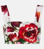 Dolce&Gabbana Floral cotton poplin bra top