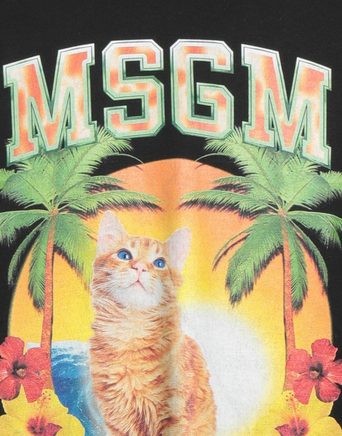 Msgm Mens T-shirt in Black
