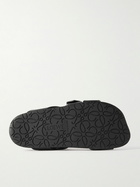 LOEWE - Paula's Ibiza Ease Buckled Leather Slides - Black