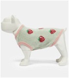Gucci - Strawberry wool dog sweater