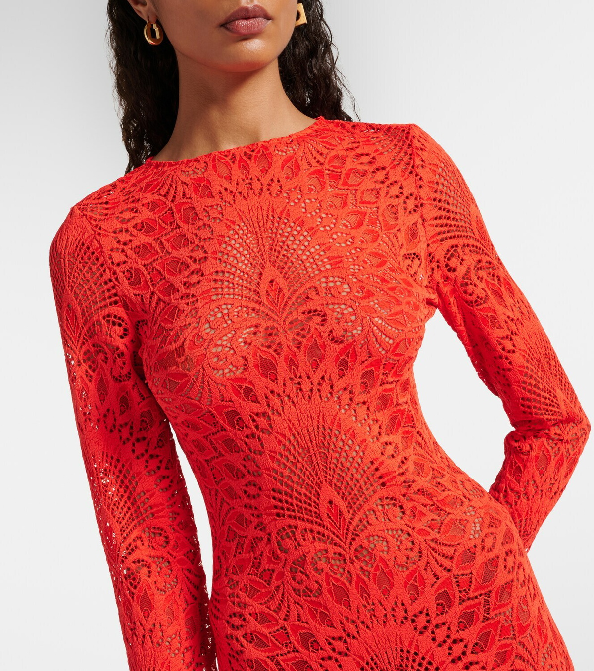 Alexandra Miro Isabella lace maxi dress