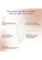 Augustinus Bader The Lip Balm, lip Balm, Vitamin E, Repair and Renewal, Lip Care, Floral