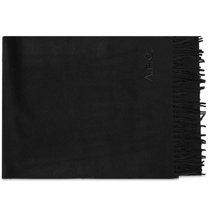 Photo: A.P.C. Ambroise Embroidered Scarf in Black