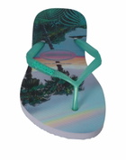 Havaianas Womens Thong sandal Sky in Blue