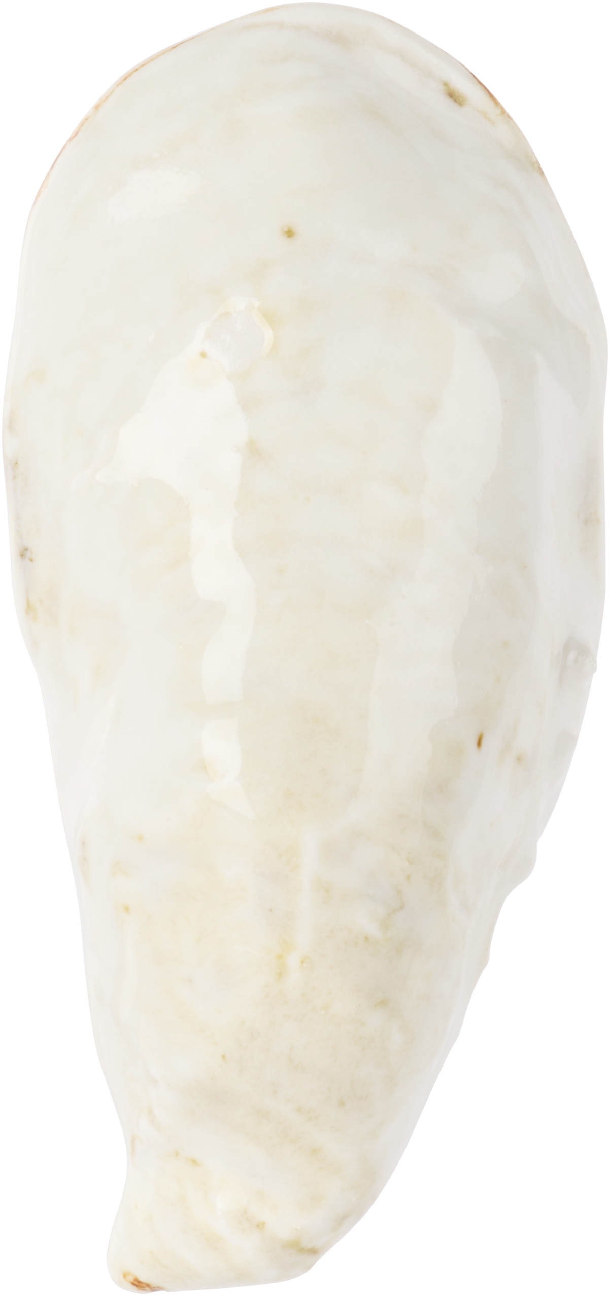 Christina Iversen Studio Off-White Oyster Salt Dish