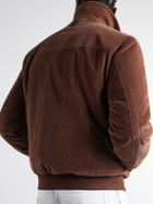 Canali - Padded Cotton-Corduroy Blouson Jacket - Brown