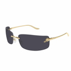 Cartier Eyewear Ct0503s-001 Gold-gold-grey