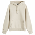 Polo Ralph Lauren Men's Double Knit Embroidered Script Logo Hoodie in Tuscan Beige Heather