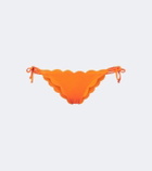 Marysia Mott scalloped bikini bottoms
