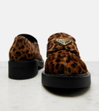 Prada Leopard-print calf hair penny loafers