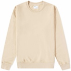 Colorful Standard Men's Classic Organic Crew Sweat in Honey Beige