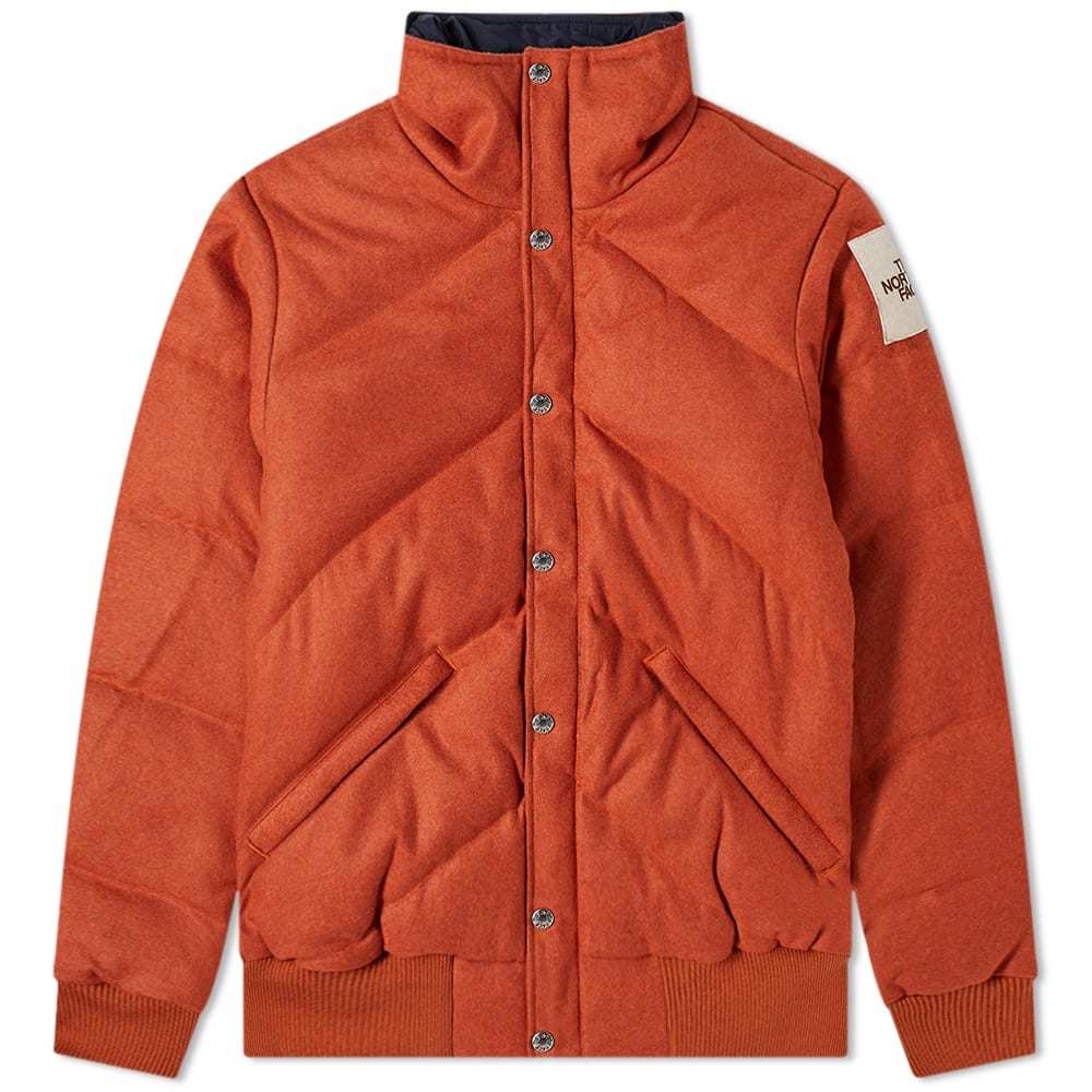 The north face hot sale larkspur down jacket