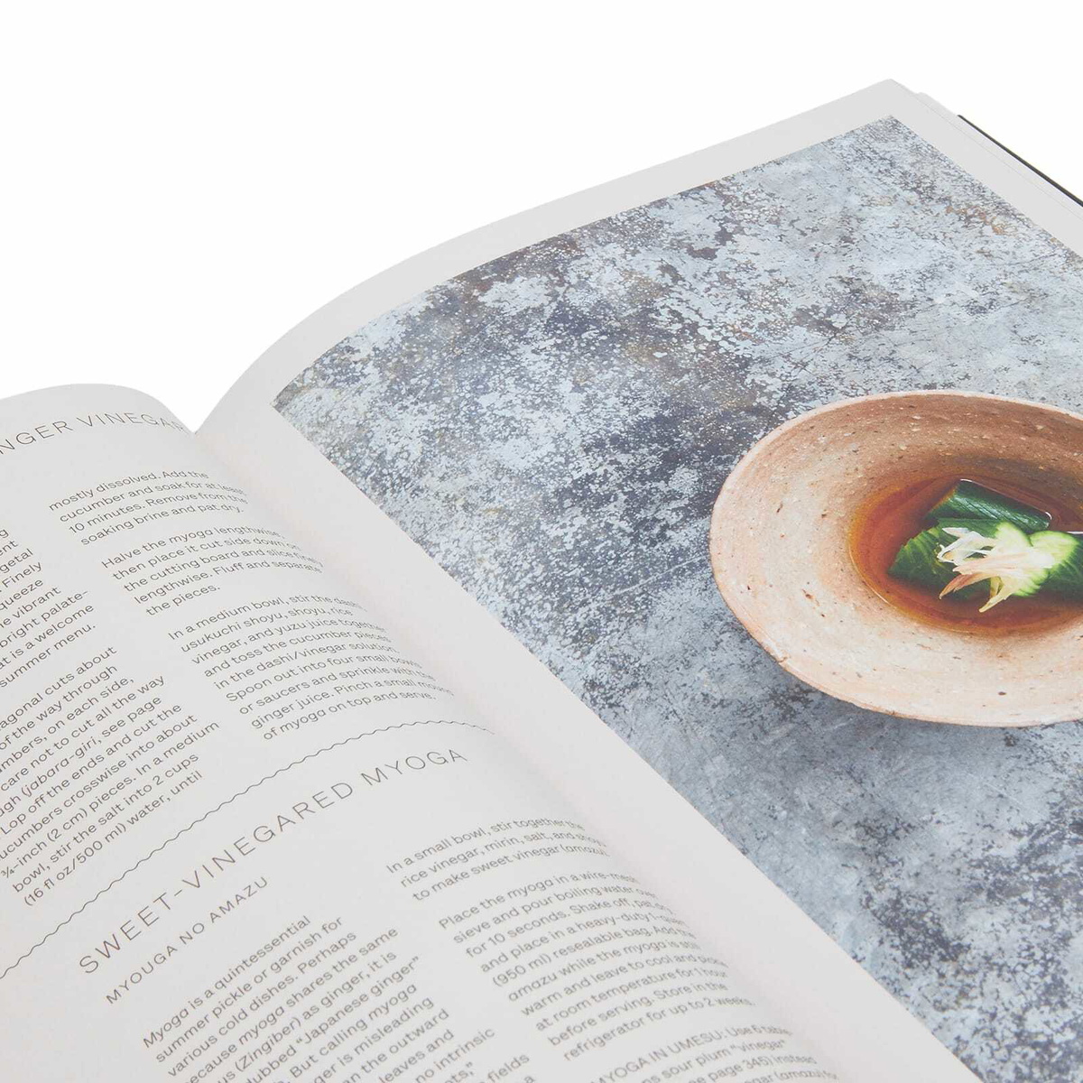 Phaidon Japan: The Vegetarian Cookbook in Nancy Singleton Hachisu 