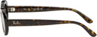 Ray-Ban Brown RB2223 Sunglasses