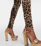 Dolce&Gabbana High-rise leopard-print leggings