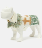 Alanui - x Poldo Dog Couture Icon dog sweater