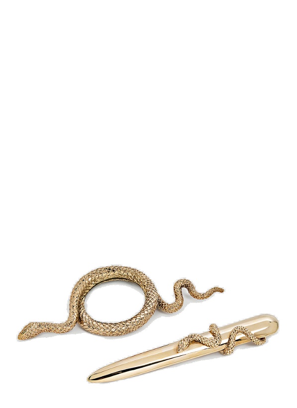 Photo: Snake Magnifying Glass in Gold