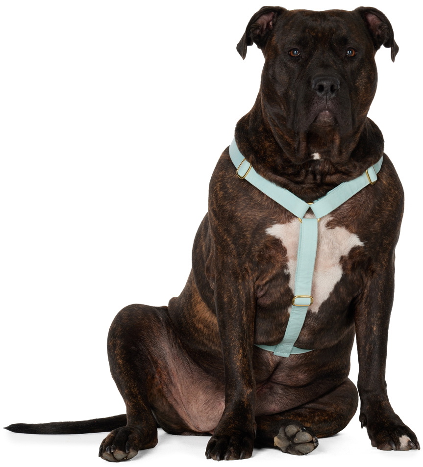 See Scout Sleep Green The Scot Extra Large Original Harness