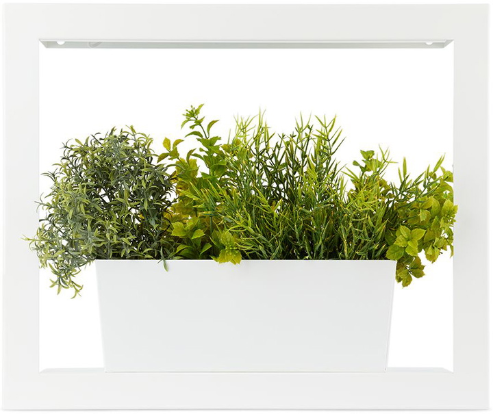 Photo: Modern Sprout White Smart Growhouse Planter