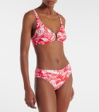 Melissa Odabash Bel Air floral bikini top