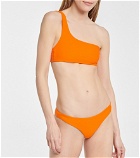 Jade Swim - Most Wanted bikini bottoms