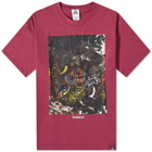 Nike Men's ACG Tidal Pool T-Shirt in Rosewood