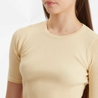 Auralee Women's Cotton Rib Knit T-Shirt in Yellow Beige