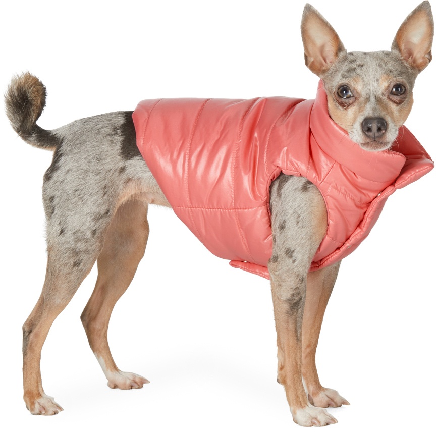 Photo: Moncler Genius Pink Poldo Dog Couture Edition Mondog Jacket