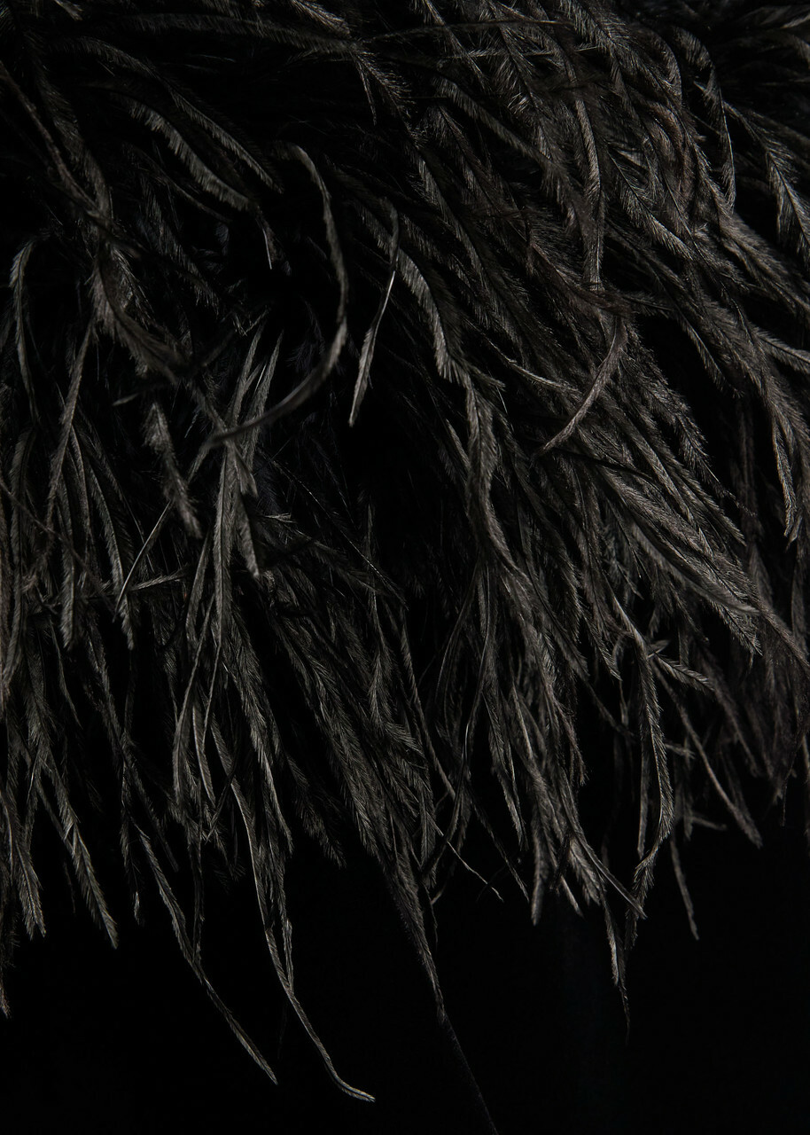 The New Arrivals Ilkyaz Ozel Sienna Feather-appliquéd Velvet Maxi Dress Black