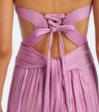 Maria Lucia Hohan Kamina metallic silk corset gown