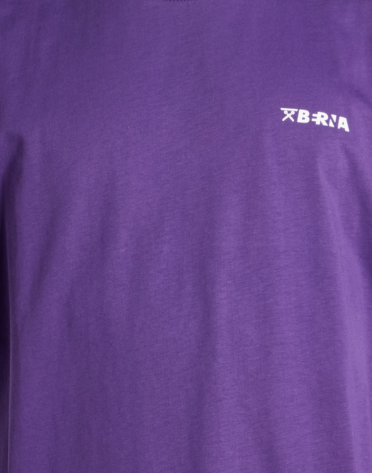 Berna Mens T-shirt in Purple