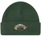 Pass~Port Men's Communal Rings Beanie in Forest Green