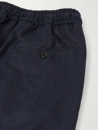 Rubinacci - Leisure Straight-Leg Pleated Wool-Flannel Trousers - Blue