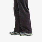 Salomon XT-6 GTX in Urban Chic/Black/Lime Cream