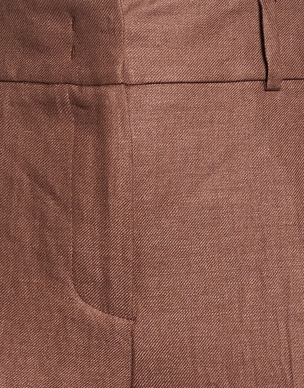 Peserico Womens Pants in Brown