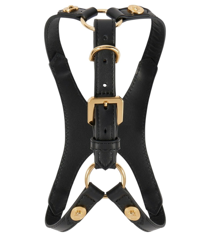 Photo: Versace Home Leather dog harness