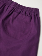 BODE - Straight-Leg Embroidered Cotton Shorts - Purple