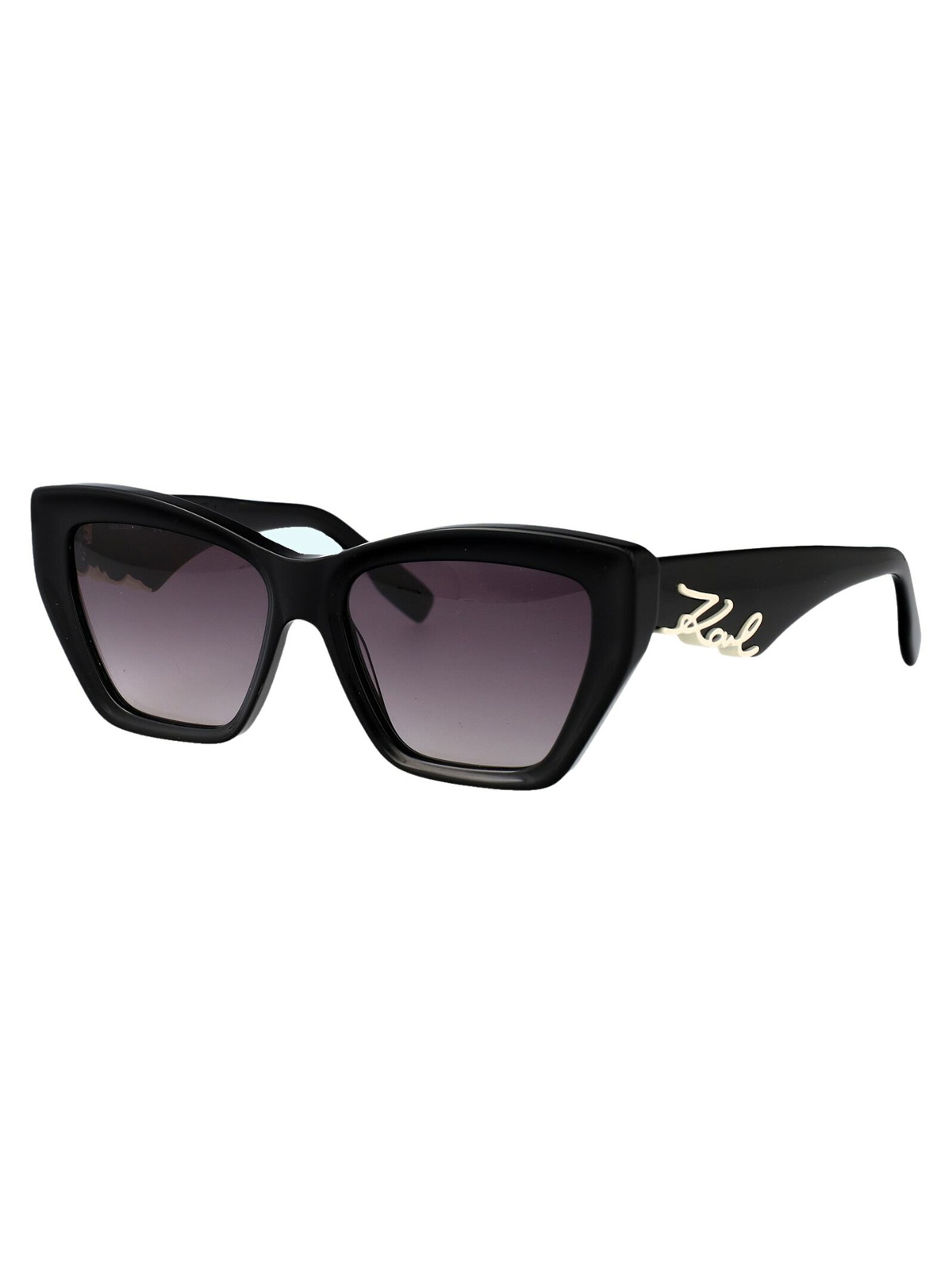 Karl Lagerfeld Kl6179s Sunglasses