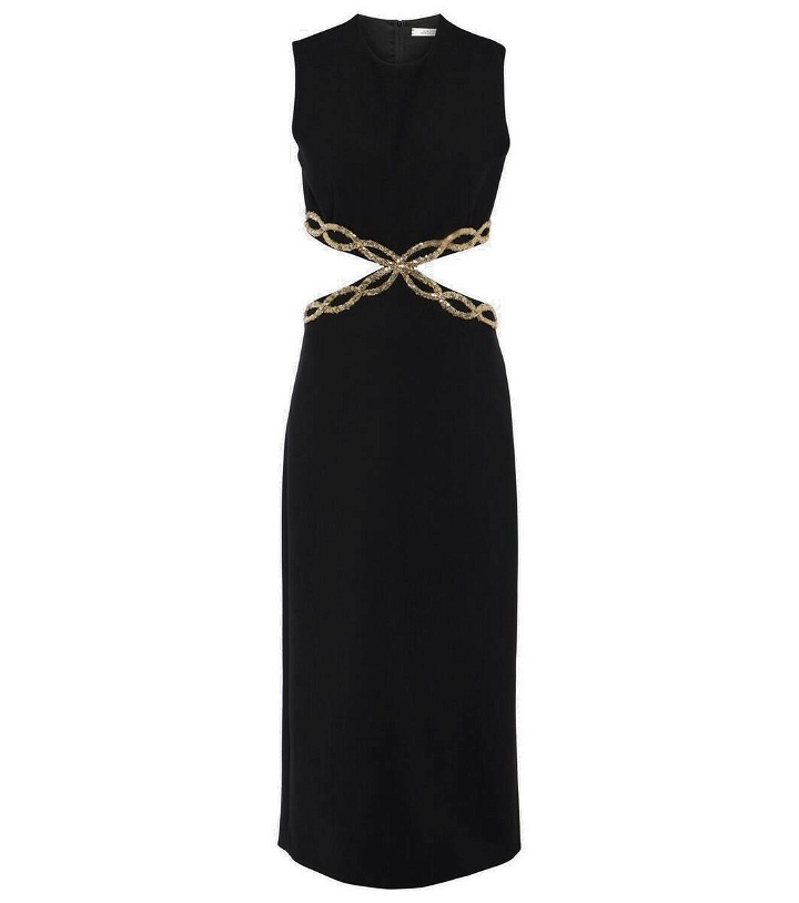 Photo: Dorothee Schumacher Embellished cutout gown