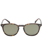 Oliver Peoples Finley Sunglasses in Tortoise/Green