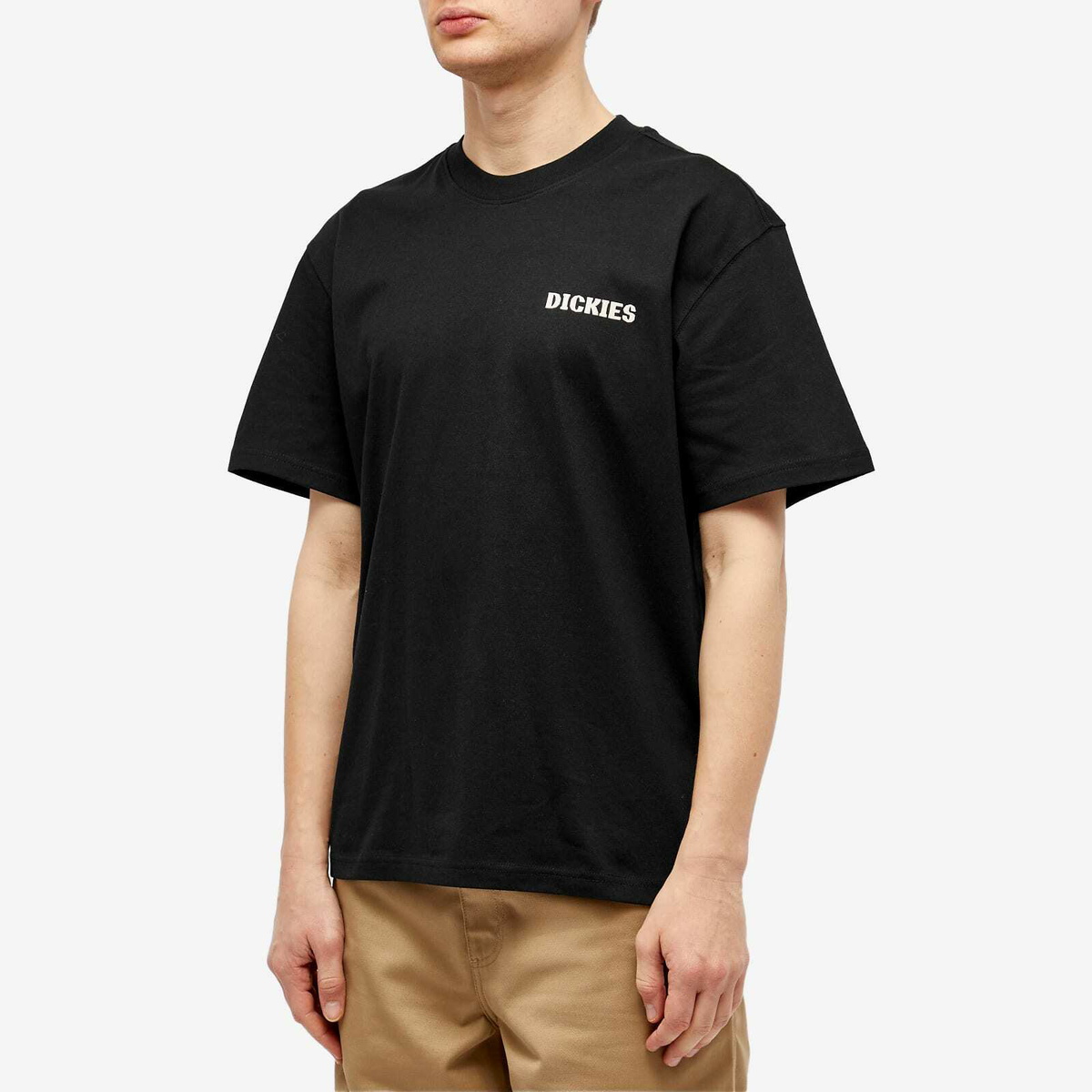 Dickies Men's Hays TShirt in Black Dickies Construct