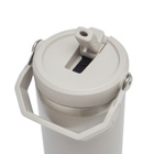 Stanley IceFlow Flip Straw 2.0 Tumbler - 30oz in Ash 