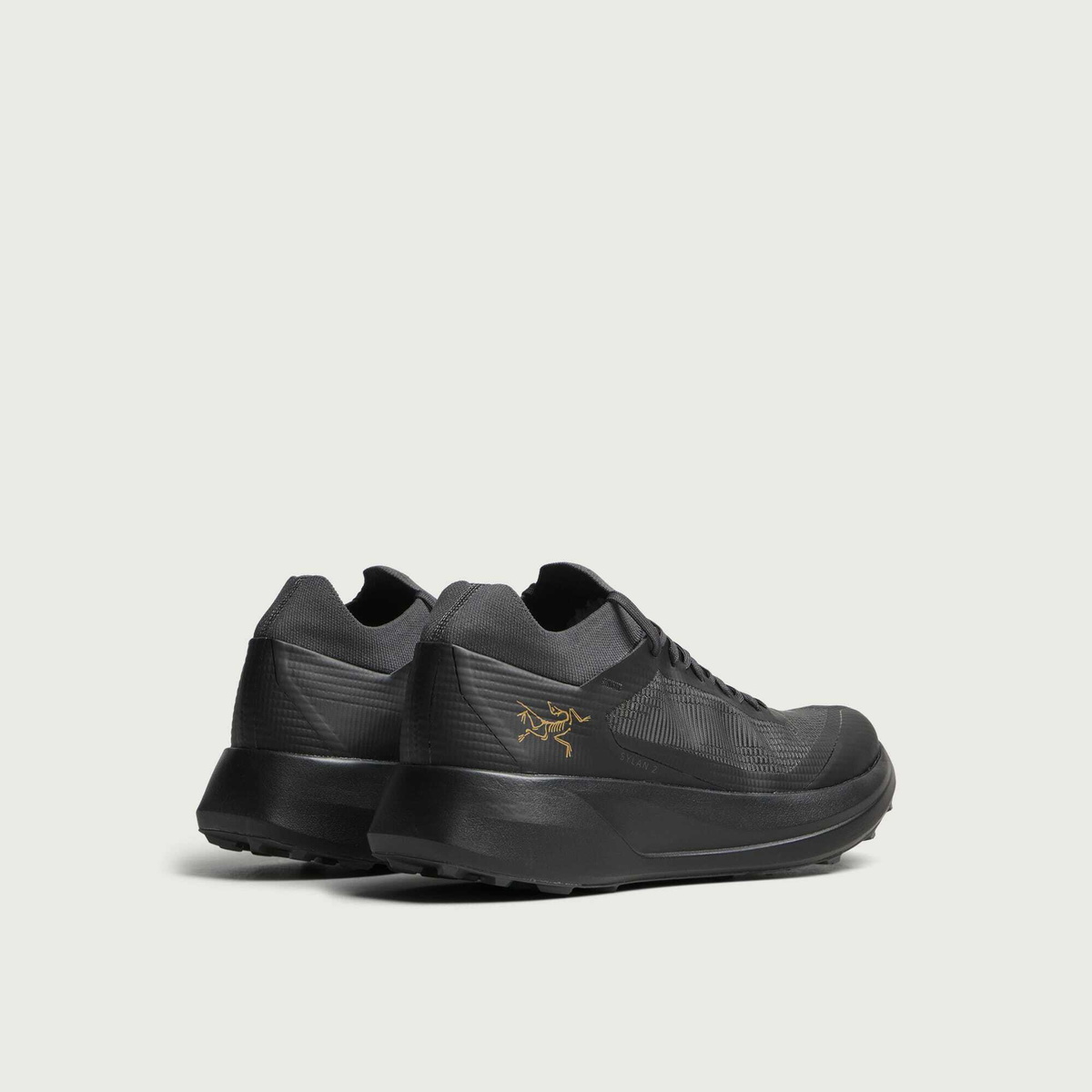 Arc'teryx Men's Arcteryx Sylan 2 in Black