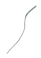 Stila Stay All Day Liquid Eye Liner Micro Tip 0.5ml - Shimmering Graphite