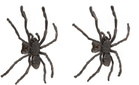 Y/Project Gunmetal Spider Earrings
