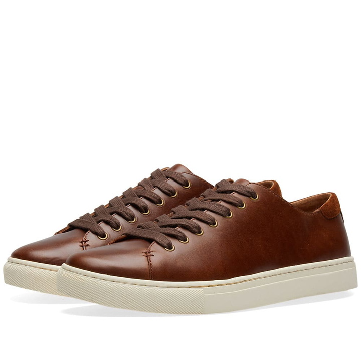 Photo: Polo Ralph Lauren Jermain Sneaker