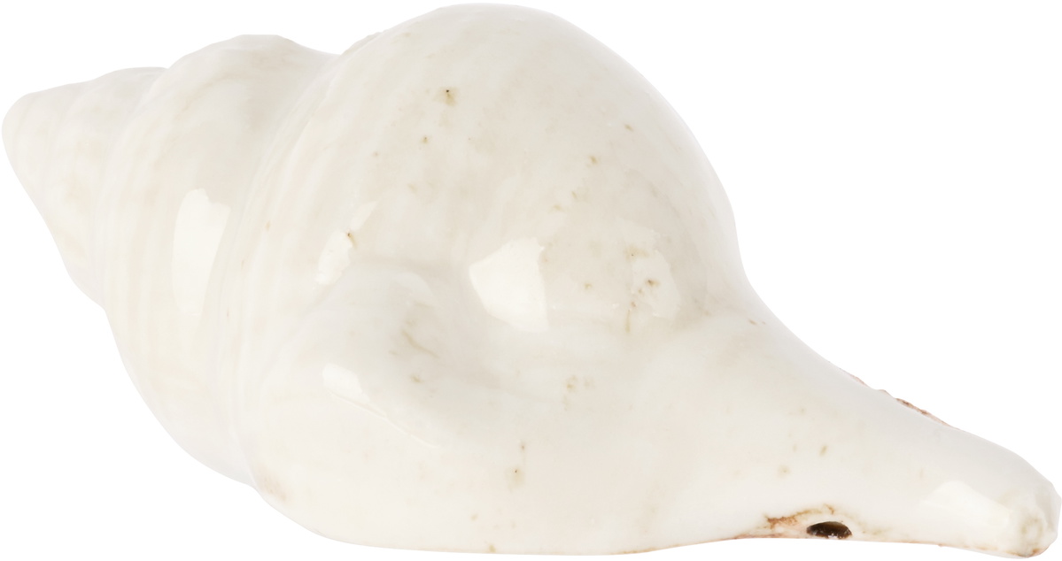 Christina Iversen Studio Off-White Shell Decoration